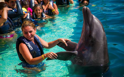  Nado y Encuentro Con Delfines